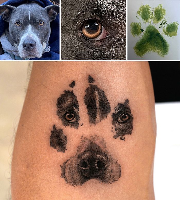Tatuagens de Pets: A arte de Ria Kim e as histórias emocionantes por trás delas 6 Tatuagens de Pets: A arte de Ria Kim e as histórias emocionantes por trás delas 6