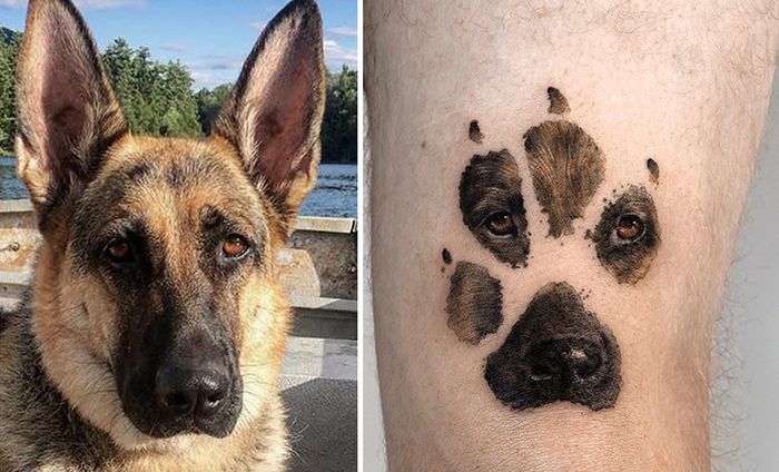 Tatuagens de Pets: A arte de Ria Kim e as histórias emocionantes por trás delas 7 Tatuagens de Pets: A arte de Ria Kim e as histórias emocionantes por trás delas 7