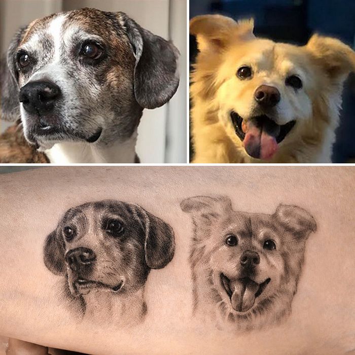 Tatuagens de Pets: A arte de Ria Kim e as histórias emocionantes por trás delas 8 Tatuagens de Pets: A arte de Ria Kim e as histórias emocionantes por trás delas 8