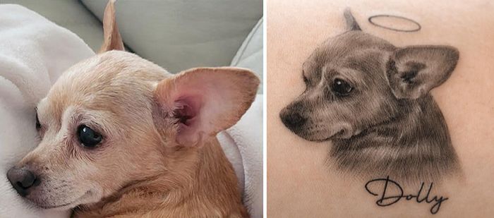 Tatuagens de Pets: A arte de Ria Kim e as histórias emocionantes por trás delas 12 Tatuagens de Pets: A arte de Ria Kim e as histórias emocionantes por trás delas 12