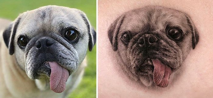 Tatuagens de Pets: A arte de Ria Kim e as histórias emocionantes por trás delas 14 Tatuagens de Pets: A arte de Ria Kim e as histórias emocionantes por trás delas 14