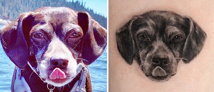 Tatuagens de Pets: A arte de Ria Kim e as histórias emocionantes por trás delas 17 Tatuagens de Pets: A arte de Ria Kim e as histórias emocionantes por trás delas 17