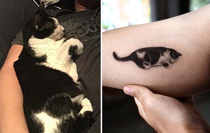 Tatuagens de Pets: A arte de Ria Kim e as histórias emocionantes por trás delas 18 Tatuagens de Pets: A arte de Ria Kim e as histórias emocionantes por trás delas 18