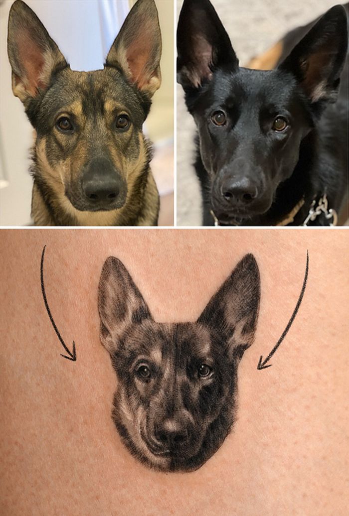 Tatuagens de Pets: A arte de Ria Kim e as histórias emocionantes por trás delas 20 Tatuagens de Pets: A arte de Ria Kim e as histórias emocionantes por trás delas 20