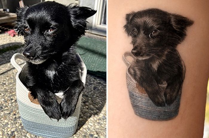 Tatuagens de Pets: A arte de Ria Kim e as histórias emocionantes por trás delas 21 Tatuagens de Pets: A arte de Ria Kim e as histórias emocionantes por trás delas 21