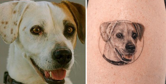 Tatuagens de Pets: A arte de Ria Kim e as histórias emocionantes por trás delas 22 Tatuagens de Pets: A arte de Ria Kim e as histórias emocionantes por trás delas 22