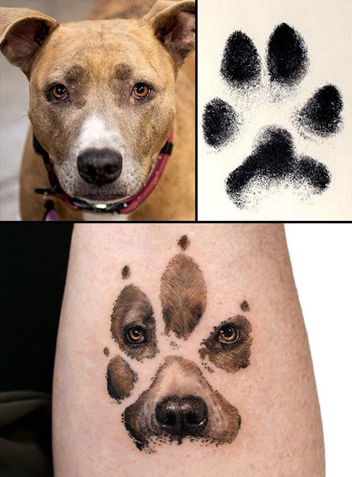 Tatuagens de Pets: A arte de Ria Kim e as histórias emocionantes por trás delas 25 Tatuagens de Pets: A arte de Ria Kim e as histórias emocionantes por trás delas 25