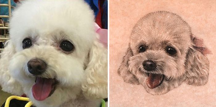 Tatuagens de Pets: A arte de Ria Kim e as histórias emocionantes por trás delas 27 Tatuagens de Pets: A arte de Ria Kim e as histórias emocionantes por trás delas 27