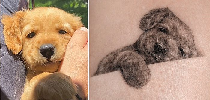 Tatuagens de Pets: A arte de Ria Kim e as histórias emocionantes por trás delas 28 Tatuagens de Pets: A arte de Ria Kim e as histórias emocionantes por trás delas 28