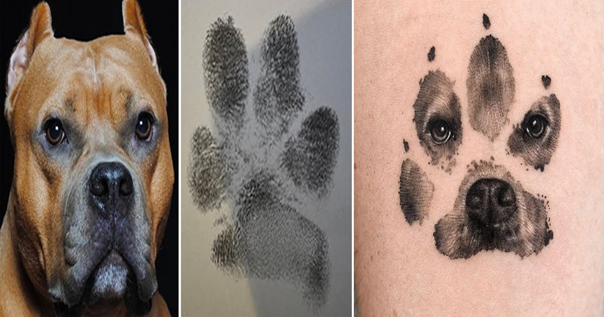 Tatuagens de Pets: A arte de Ria Kim e as histórias emocionantes por trás delas