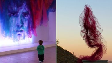 A arte inovadora de Benjamin Shine: Transformando tule em obras de arte (30 fotos) 35
