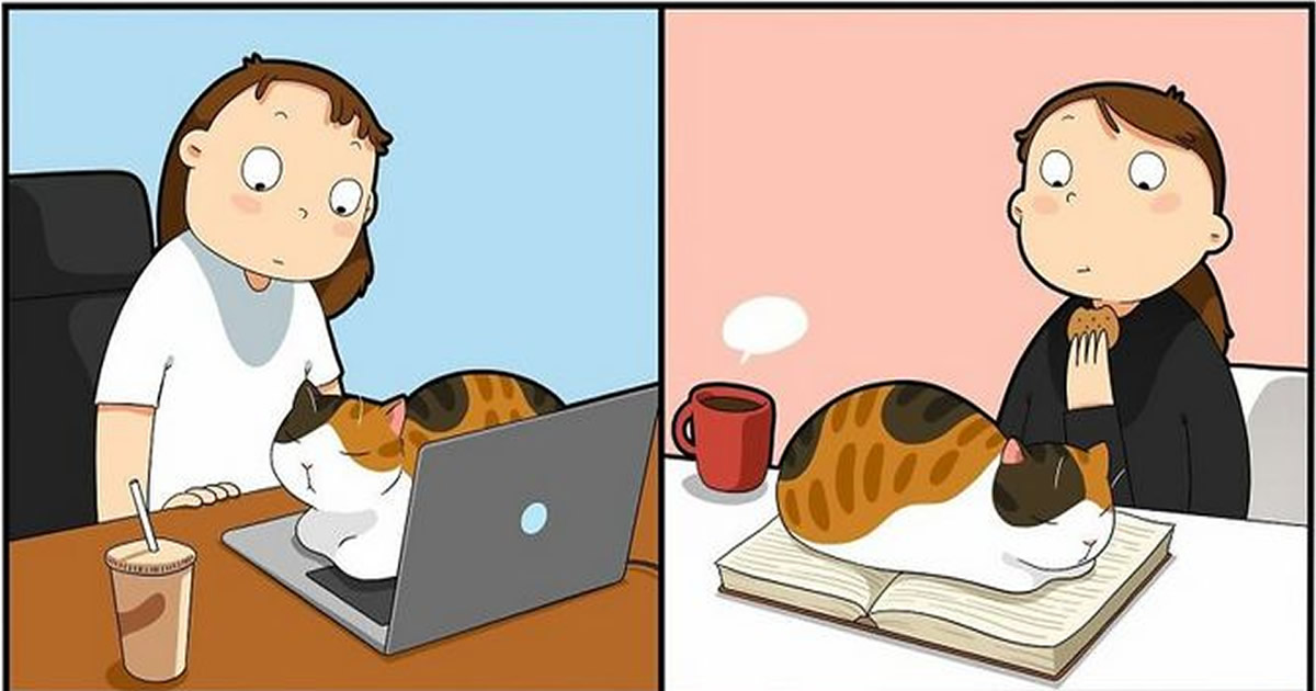 A artista que transformou a paixão por gatos em quadrinhos divertidos e aconchegantes (32 fotos)