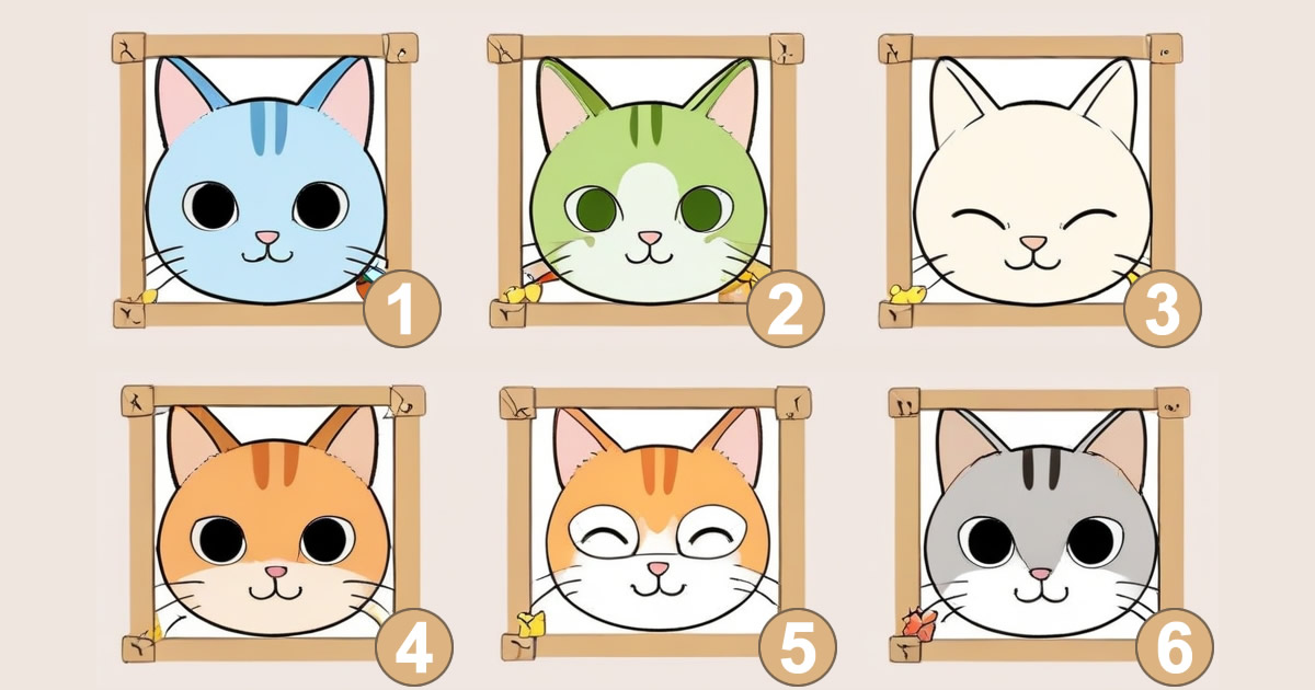 gato sereno, gato curioso, gato brincalhão, gato independente, gato afetuoso, gato misterioso.