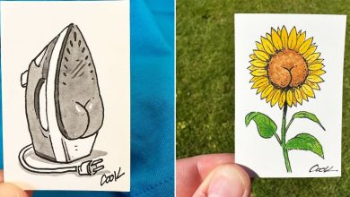 30 ilustrações engraçadas de Butts on Things que você precisa ver 7