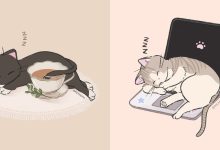 A artista que está encantando o Instagram com seus adoráveis desenhos de gatos (20 fotos) 12