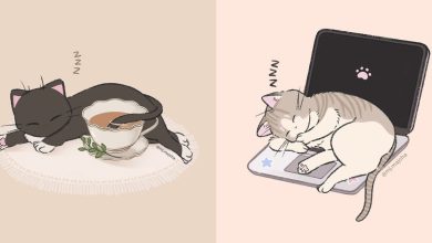 A artista que está encantando o Instagram com seus adoráveis desenhos de gatos (20 fotos) 39