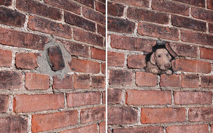 A magia da arte de rua de David Zinn: Criaturas fantásticas que ganham vida (35 fotos) 15