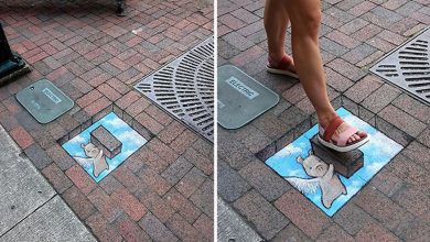A magia da arte de rua de David Zinn: Criaturas fantásticas que ganham vida (35 fotos) 32