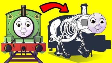 Teorias dos desenhos animados que vão arruinar sua infância 10