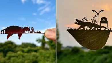 Lito Leaf: A arte incrível de transformar folhas em verdadeiras obras-primas (32 fotos) 6