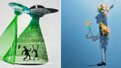A arte nas sombras: Como Vincent Bal transforma objetos comuns em ilustrações incríveis (32 fotos) 29