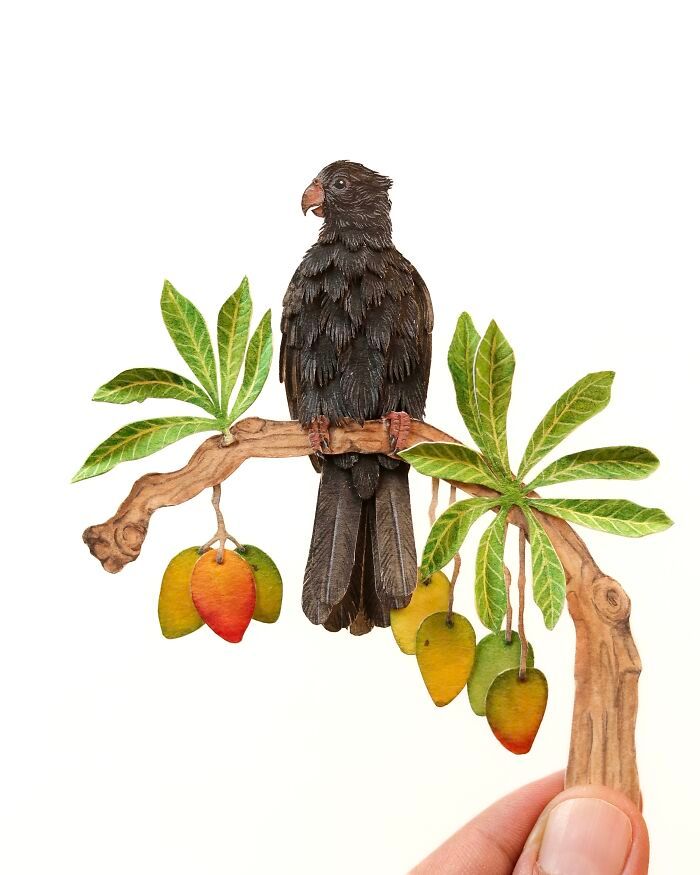 A fascinante coleção de 32 papagaios em miniatura feita à mão por Nayan Shrimali 12