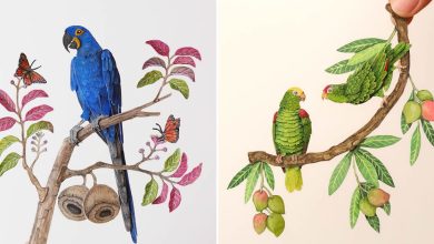 A fascinante coleção de 32 papagaios em miniatura feita à mão por Nayan Shrimali 55