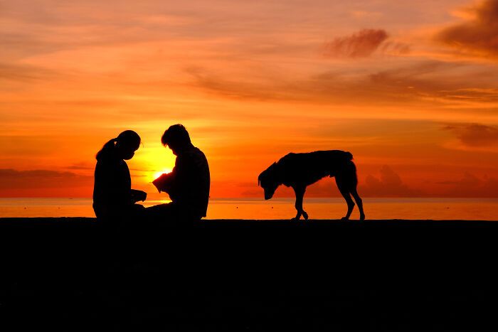 A magia de capturar momentos: O olhar de Hersley-Ven Casero (30 fotos) 2