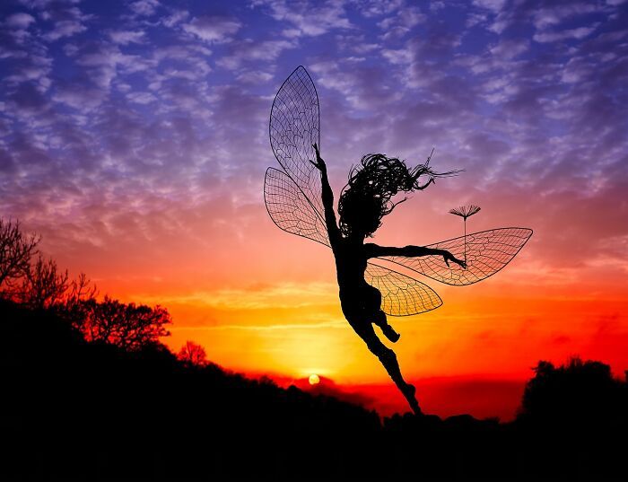 Fadas de arame: Como Robin Wight transforma sucata em arte encantadora (27 fotos) 1