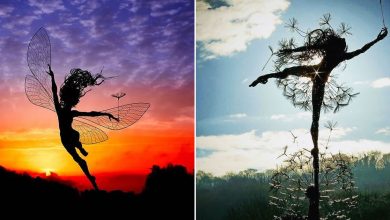 Fadas de arame: Como Robin Wight transforma sucata em arte encantadora (27 fotos) 10