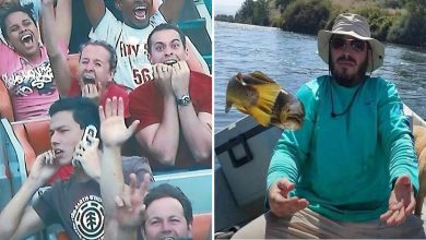 35 fotos sem explicação, diversão garantida: Explore a aleatoriedade criativa! 36