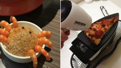 Inovações culinárias ou pesadelos na cozinha? Descubra os pratos mais estranhos (42 fotos) 36