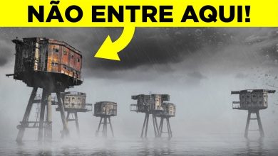 As pessoas foram proibidas de entrar neste lugar por 100 anos 5