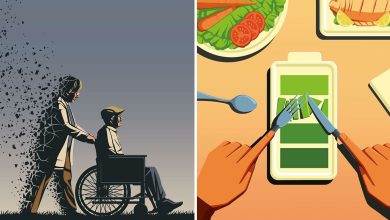 Stephan Schmitz: A Arte que Revela o Invisível (25 fotos) 26