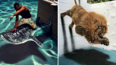 20 murais 3D impressionantes de Tehrell que dão vida às paredes 5