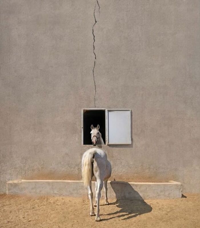 34 imagens confusas que podem fazer você olhar duas vezes 1