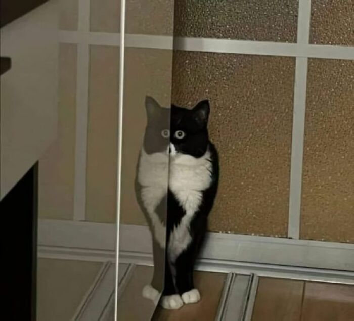 34 imagens confusas que podem fazer você olhar duas vezes 20