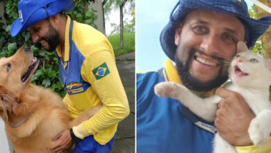 Antunes: O carteiro que está transformando cães em seus melhores amigos (32 fotos) 9