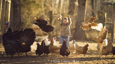 Descubra a beleza do mundo através da fotografia: A jornada inspiradora de um fotógrafo (11 fotos) 38