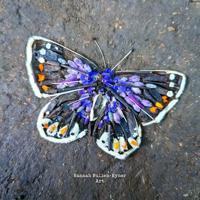 A arte da terra: Como Hannah Bullen-Ryner transforma a natureza em obras-primas (30 fotos) 21