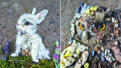 A arte da terra: Como Hannah Bullen-Ryner transforma a natureza em obras-primas (30 fotos) 44