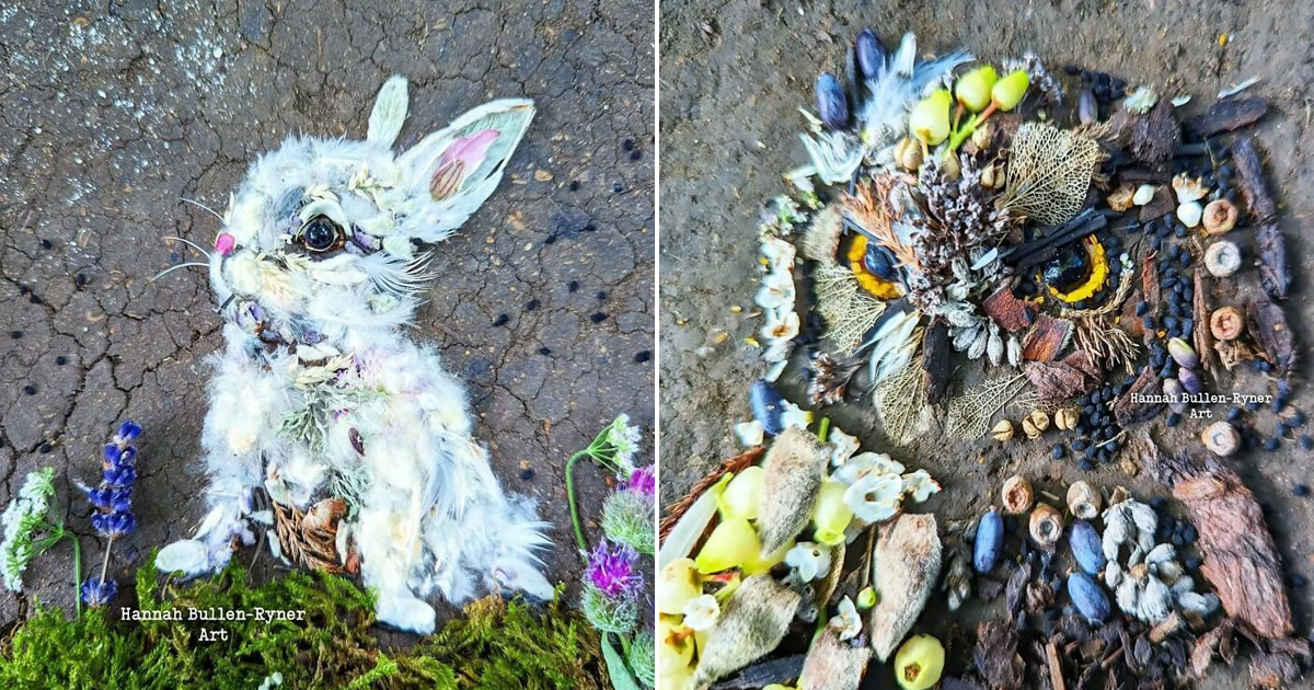 A arte da terra: Como Hannah Bullen-Ryner transforma a natureza em obras-primas (30 fotos)