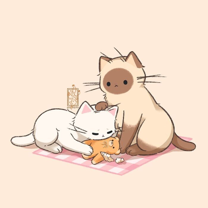 Conheça a artista que transforma gatos em verdadeiras estrelas do Instagram! (20 fotos) 8