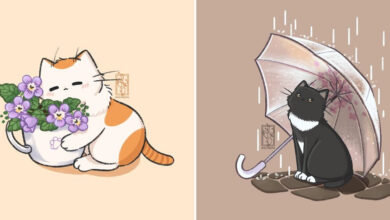 Conheça a artista que transforma gatos em verdadeiras estrelas do Instagram! (20 fotos) 35