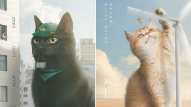 Gatos gigantes em cenários surreais: A arte encantadora de Xiang_0718 (17 fotos) 22