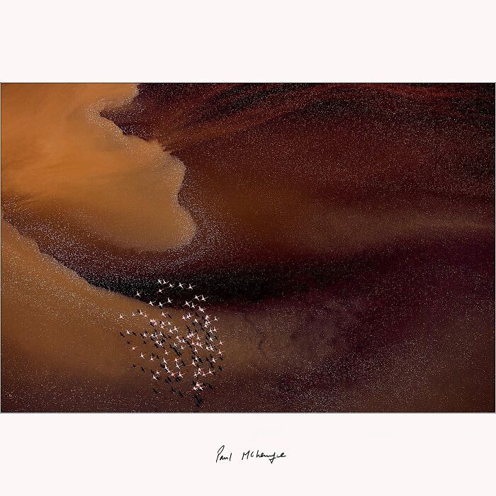 Paul McKenzie: Capturando a alma da natureza em imagens impressionantes (35 fotos) 9