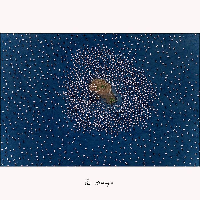 Paul McKenzie: Capturando a alma da natureza em imagens impressionantes (35 fotos) 13