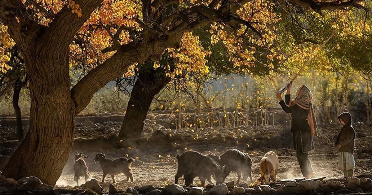 Paul McKenzie: Capturando a alma da natureza em imagens impressionantes (35 fotos)