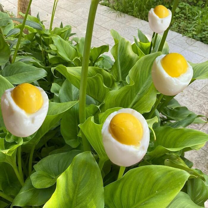 Surrealismo: O estilo de arte que vai bagunçar sua cabeça e encantar seu coração (30 fotos) 9