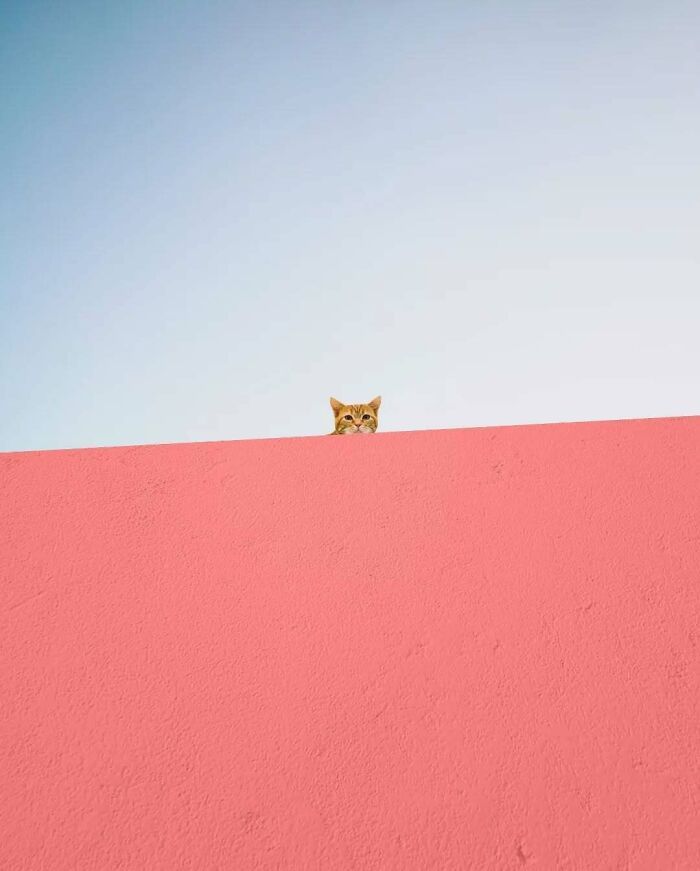 A arte minimalista e mágica de Benjamin Wolf em 35 fotos hipnotizantes 4